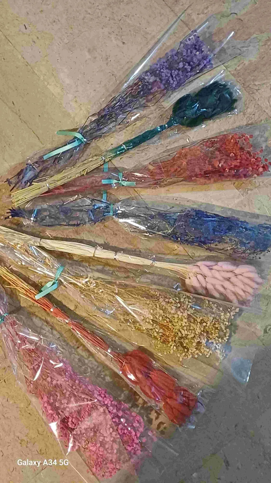 جيبسوفي (الأخضر)