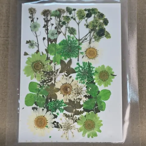 [Resin_22] ورد مجفف 5 دولار